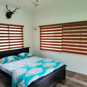  Homestay Noah's Nest Tree House India